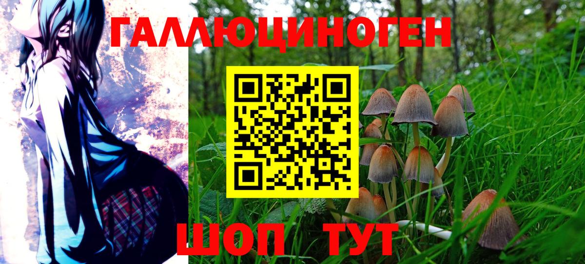 Зерноград  Галлюциногенные грибы мицелий  Вход с VPN 