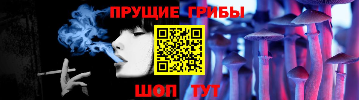 Галлюциногенные грибы прущие грибы Зерноград